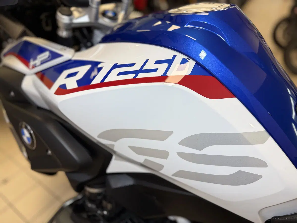 Bmw R 1250 GS (2019 - 20) (11)