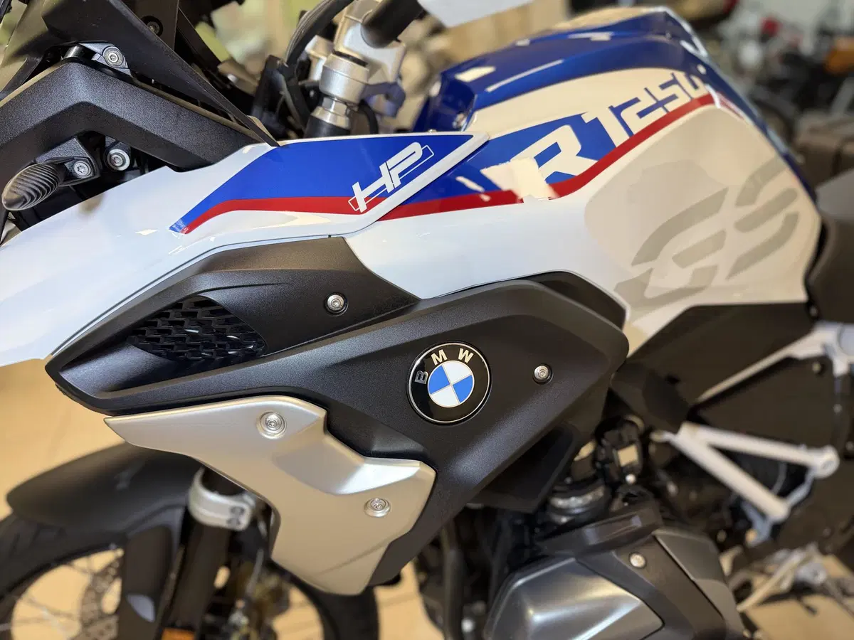 Bmw R 1250 GS (2019 - 20) (12)