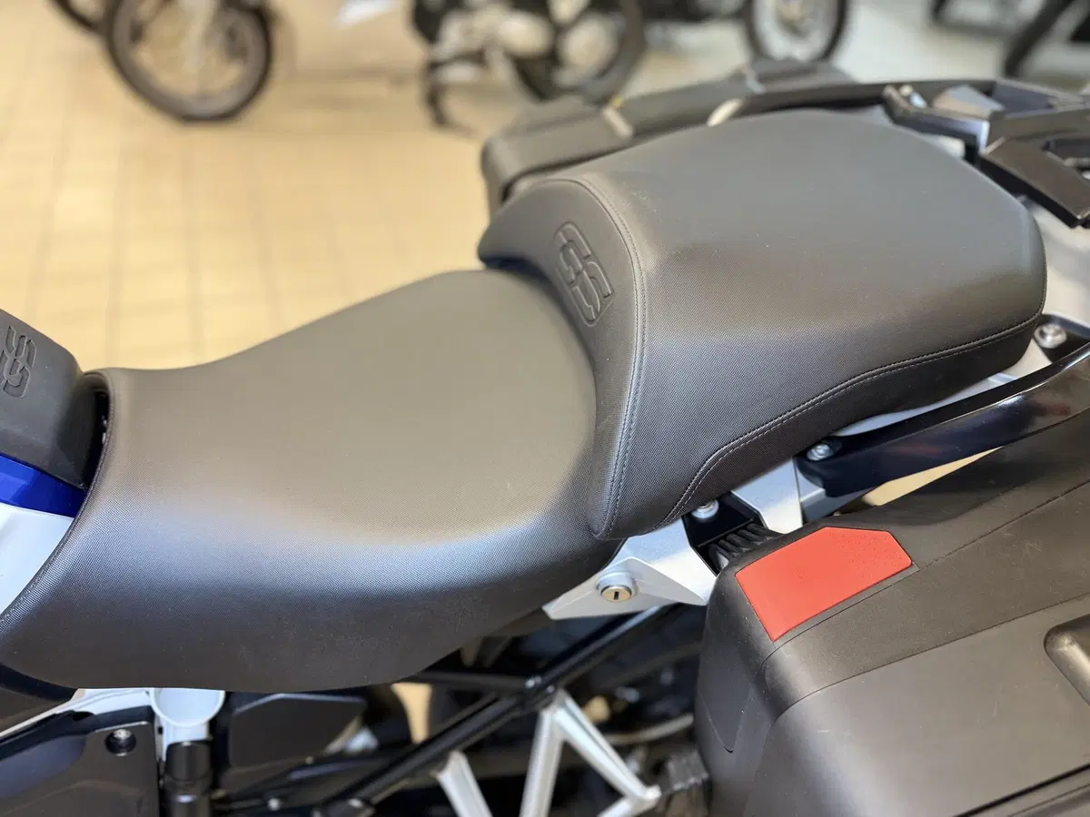 Bmw R 1250 GS (2019 - 20) (13)
