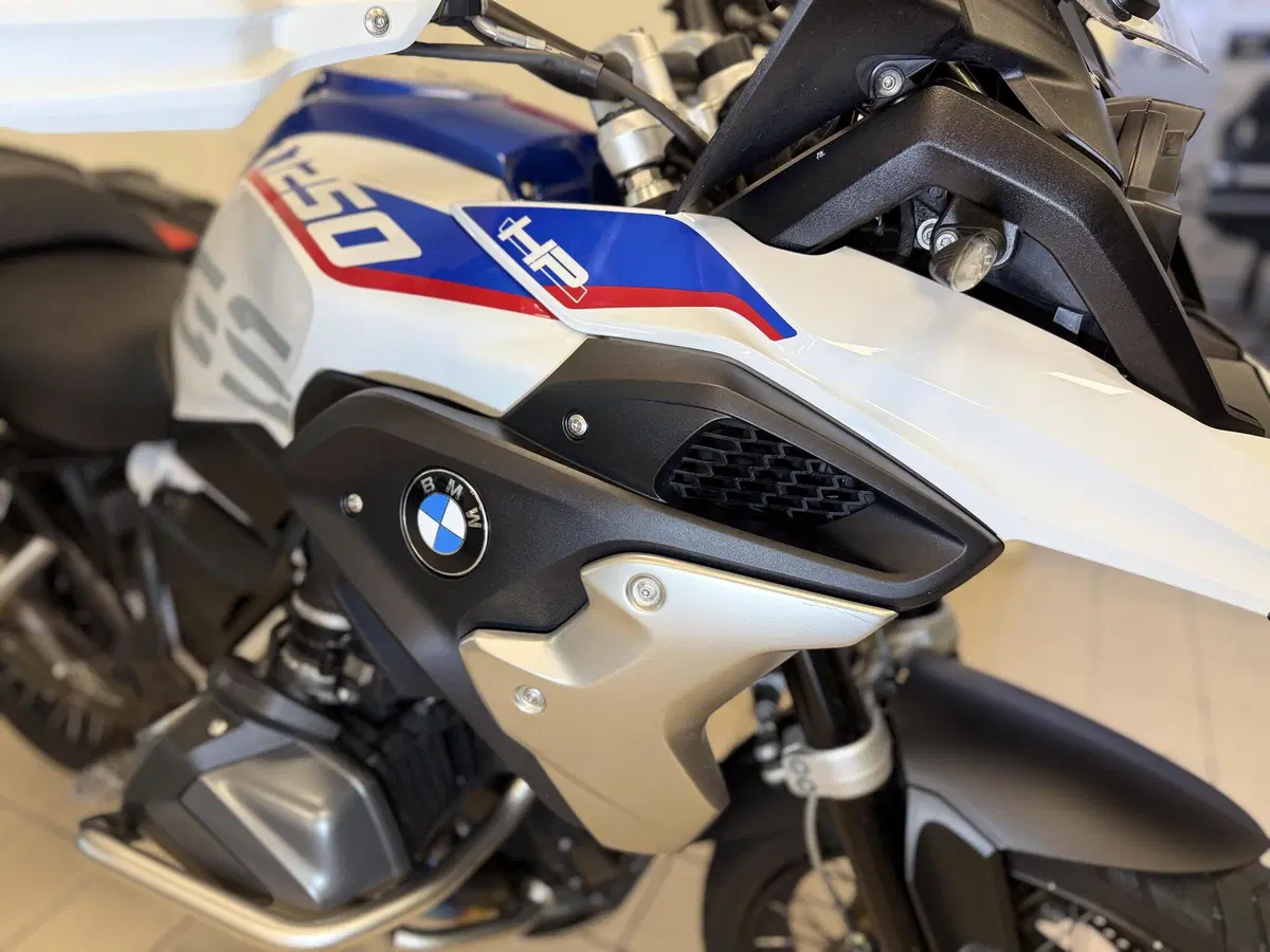 Bmw R 1250 GS (2019 - 20) (15)