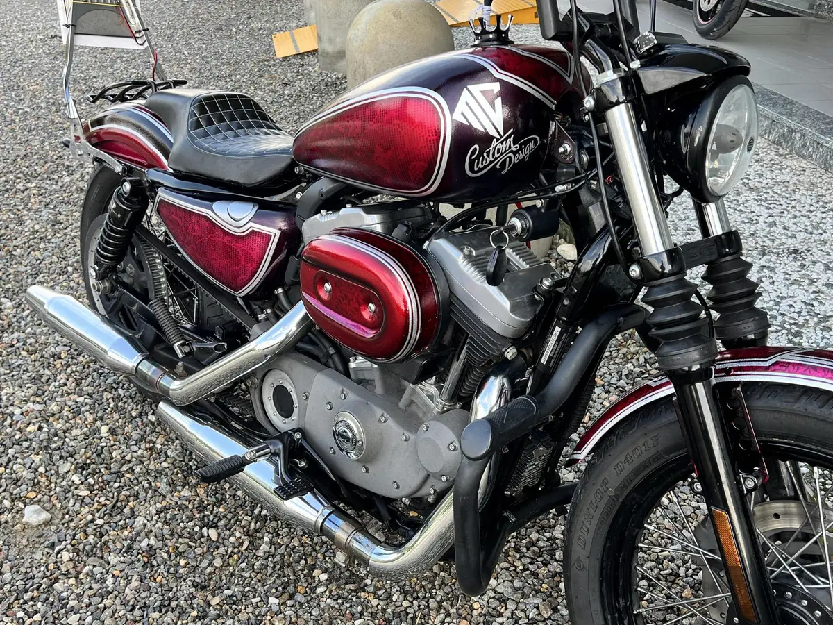Harley-Davidson XL 1200N Nightster (2008 - 12) (8)