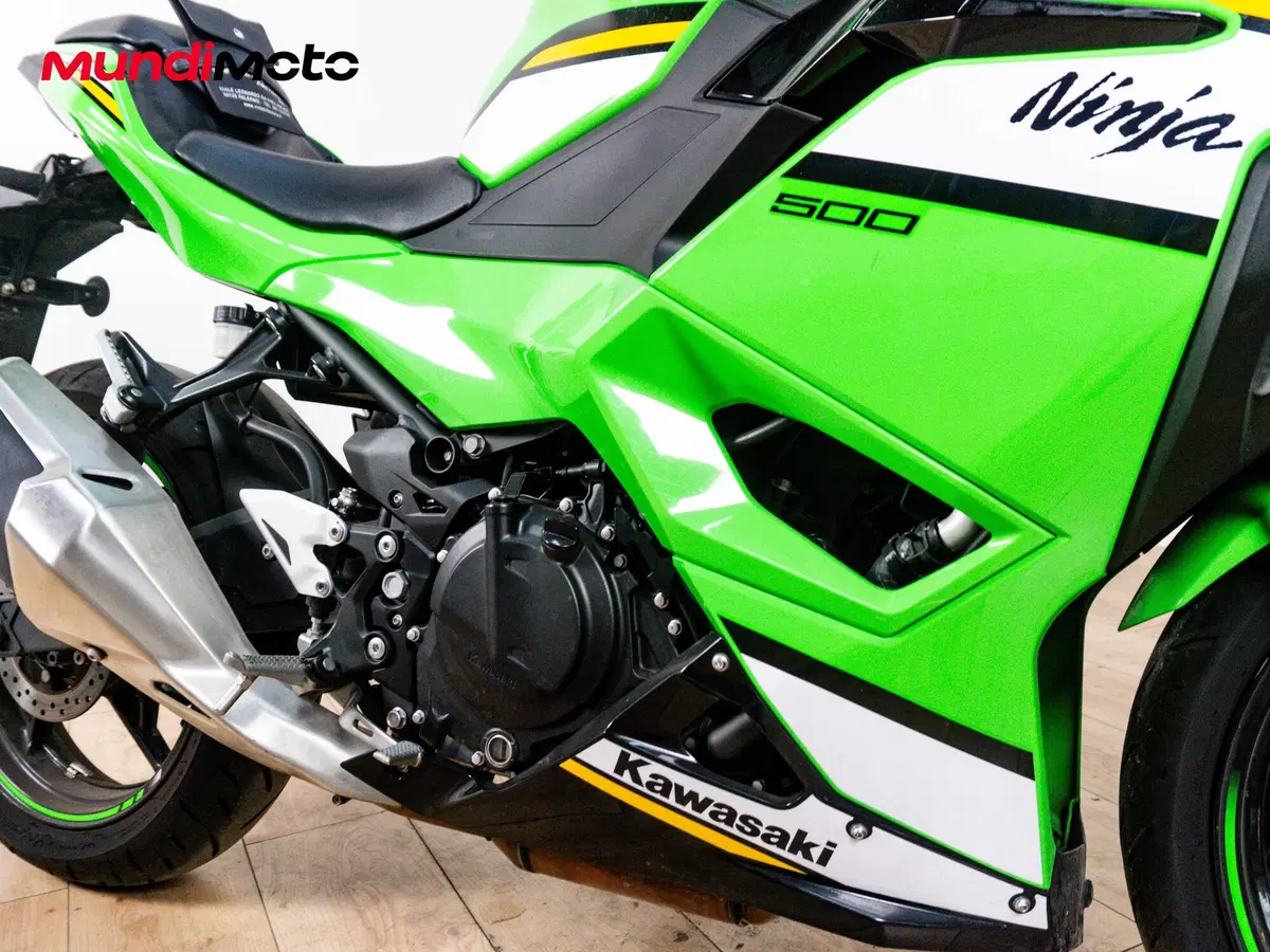 Kawasaki Ninja 500 SE (2024 - 26) (5)