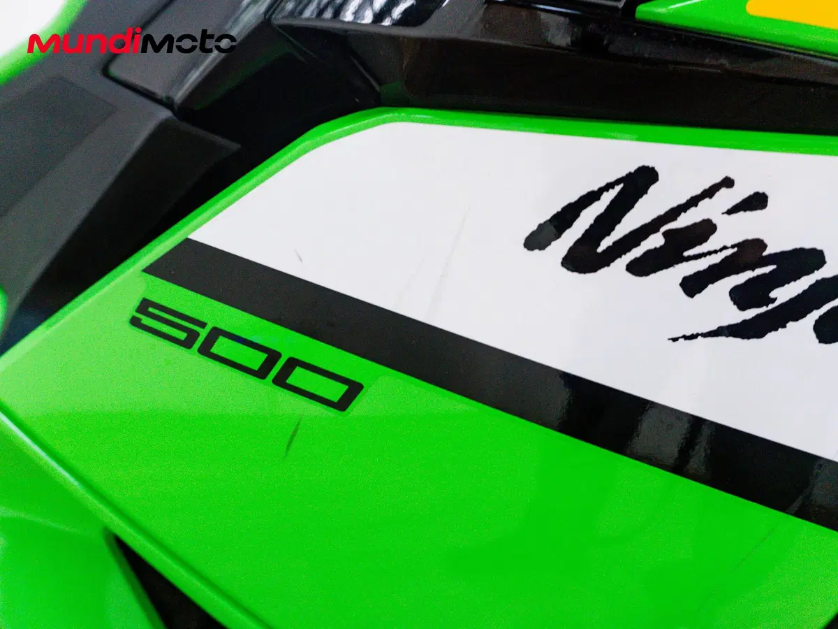 Kawasaki Ninja 500 SE (2024 - 26) (16)