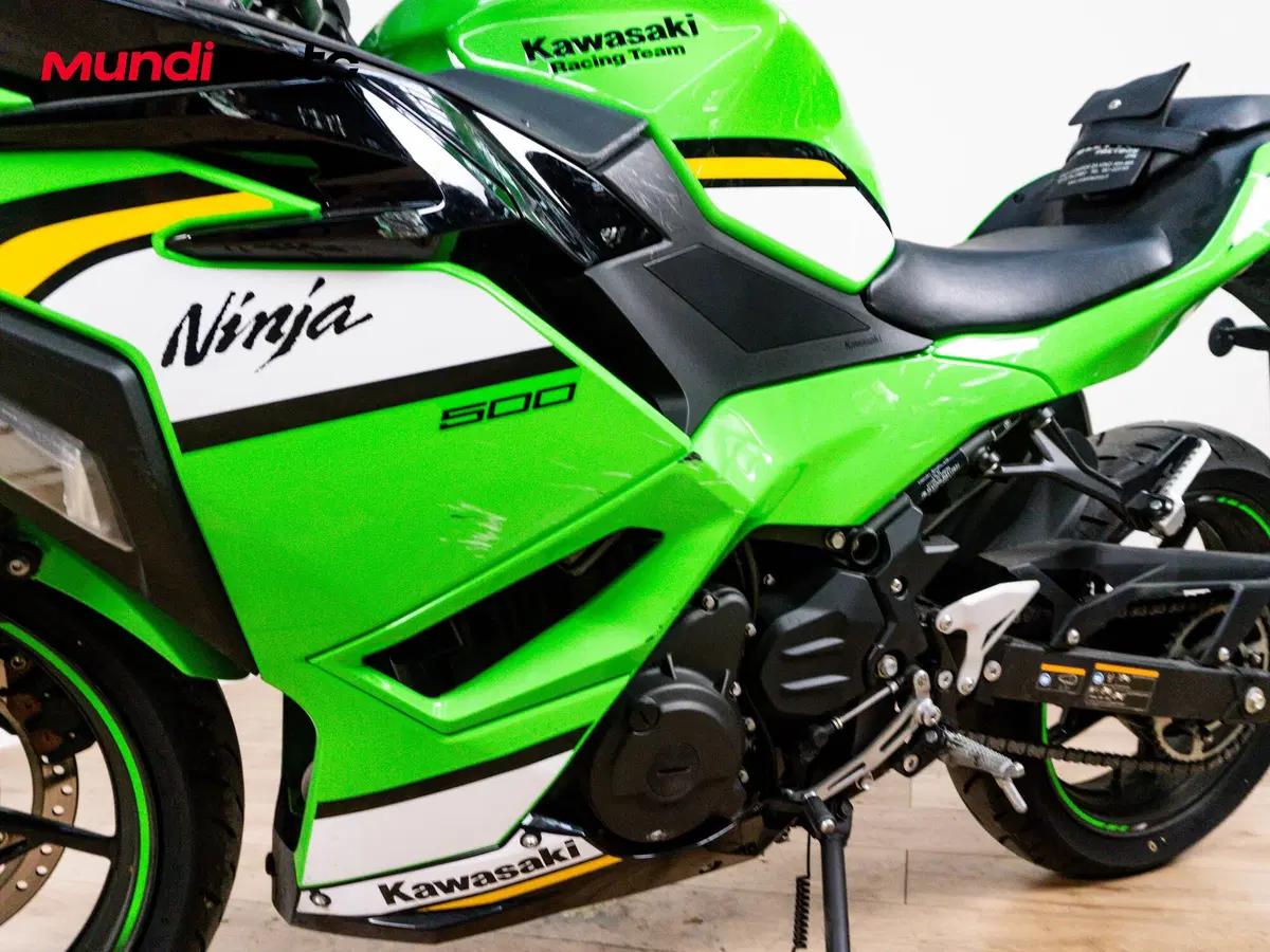 Kawasaki Ninja 500 SE (2024 - 26) (9)