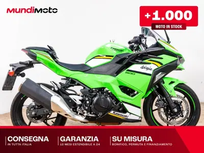 Kawasaki Ninja 500 SE (2024 - 26) usata