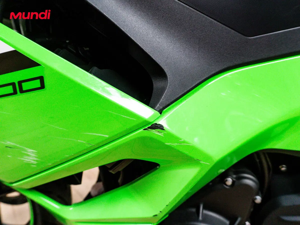 Kawasaki Ninja 500 SE (2024 - 26) (13)