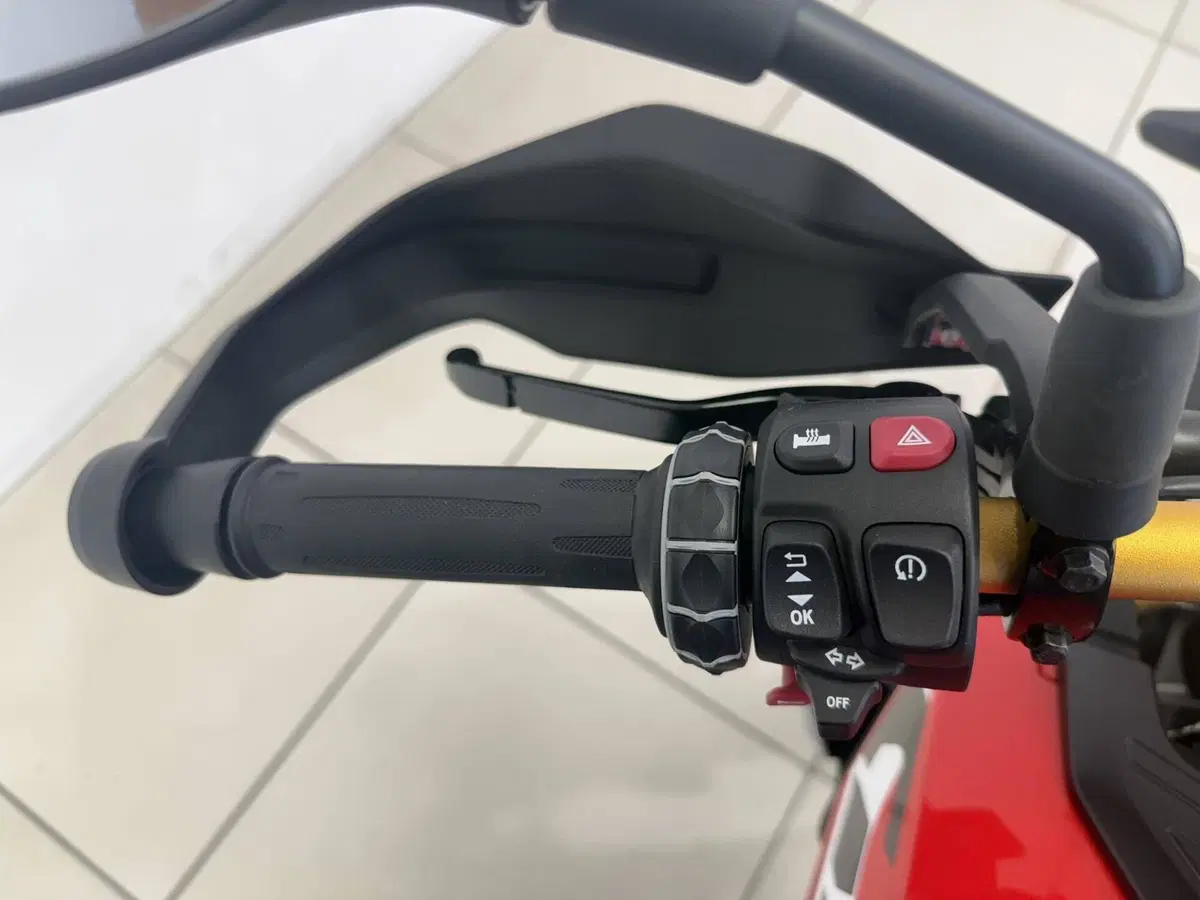 Bmw F 450 GS (2026) (10)