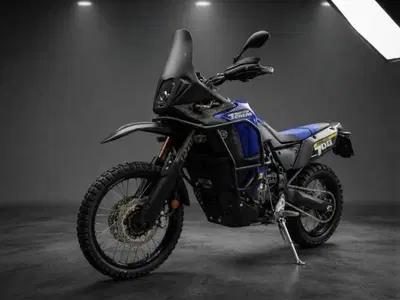 Yamaha Ténéré 700 World Raid (2022 - 25) usata
