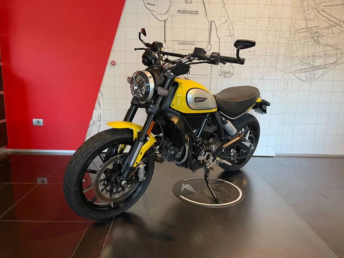 Ducati Scrambler 800 Icon (2021 - 22) (6)