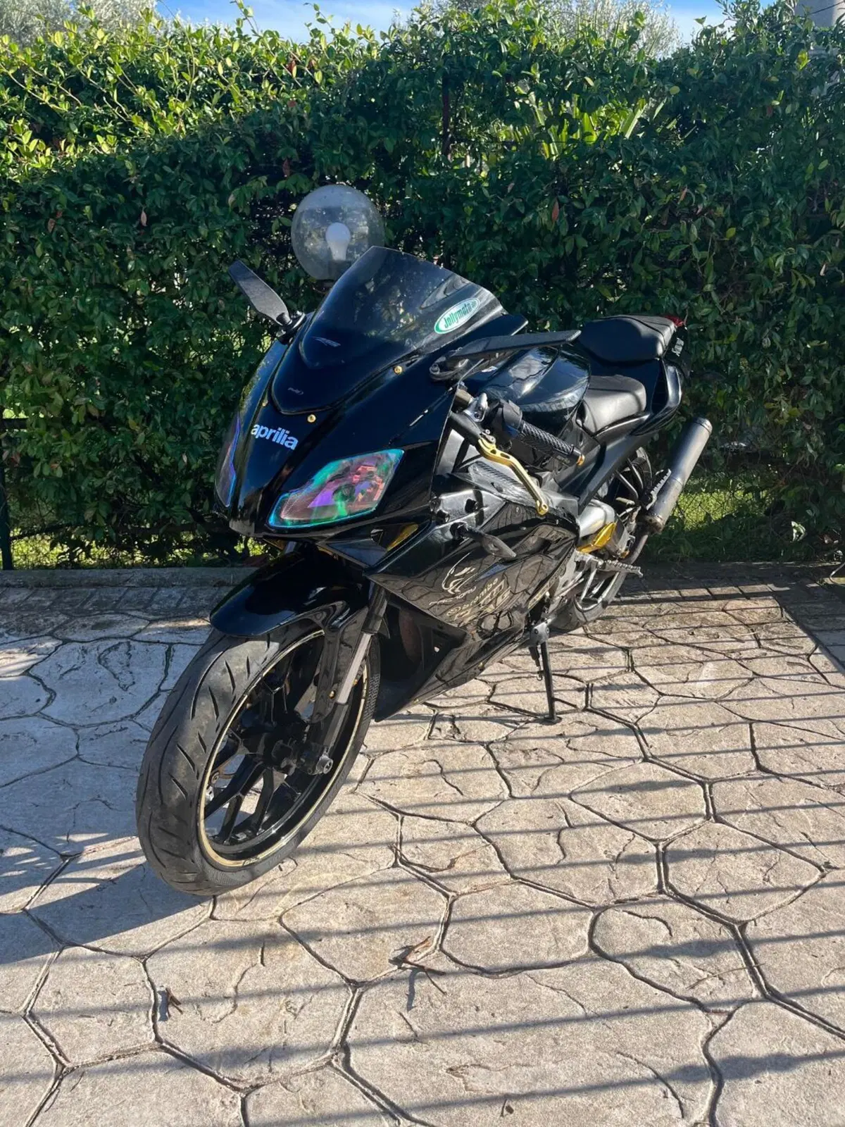 Aprilia RS 125 (2006 - 14) (3)