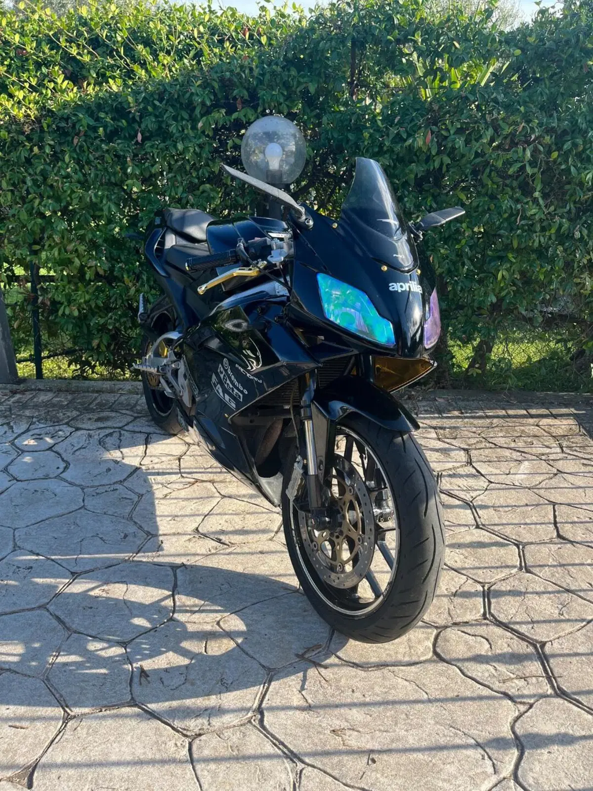 Aprilia RS 125 (2006 - 14) (4)