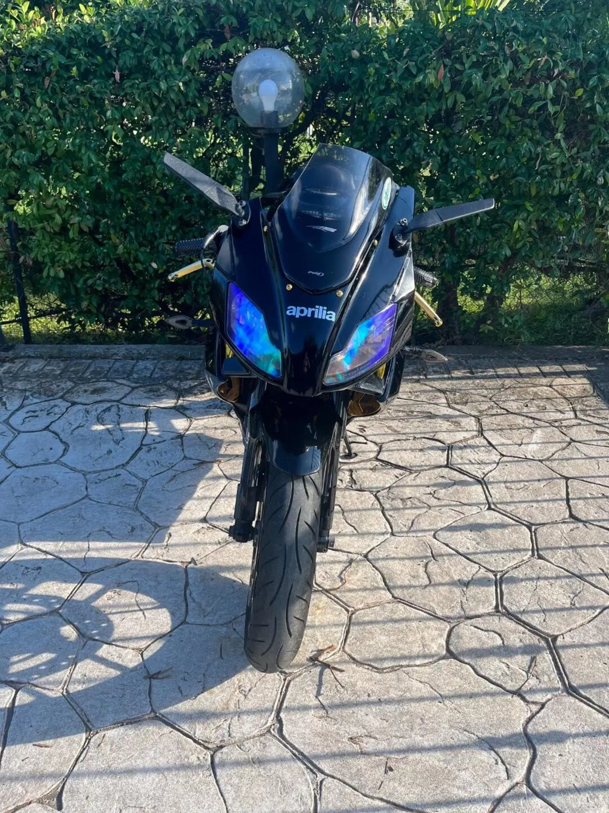 Aprilia RS 125 (2006 - 14) (5)
