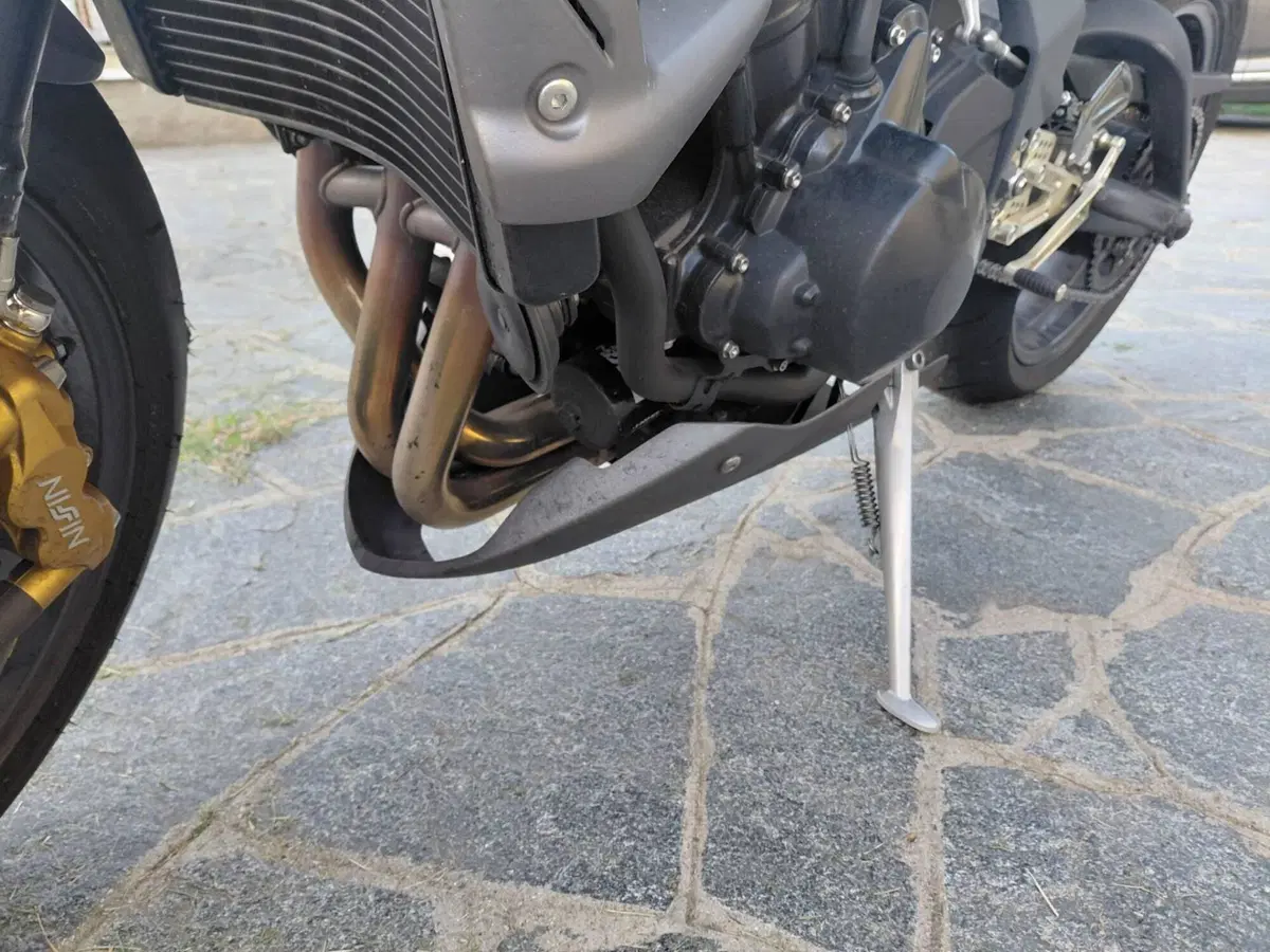 Triumph Street Triple R (2009 - 12) (7)