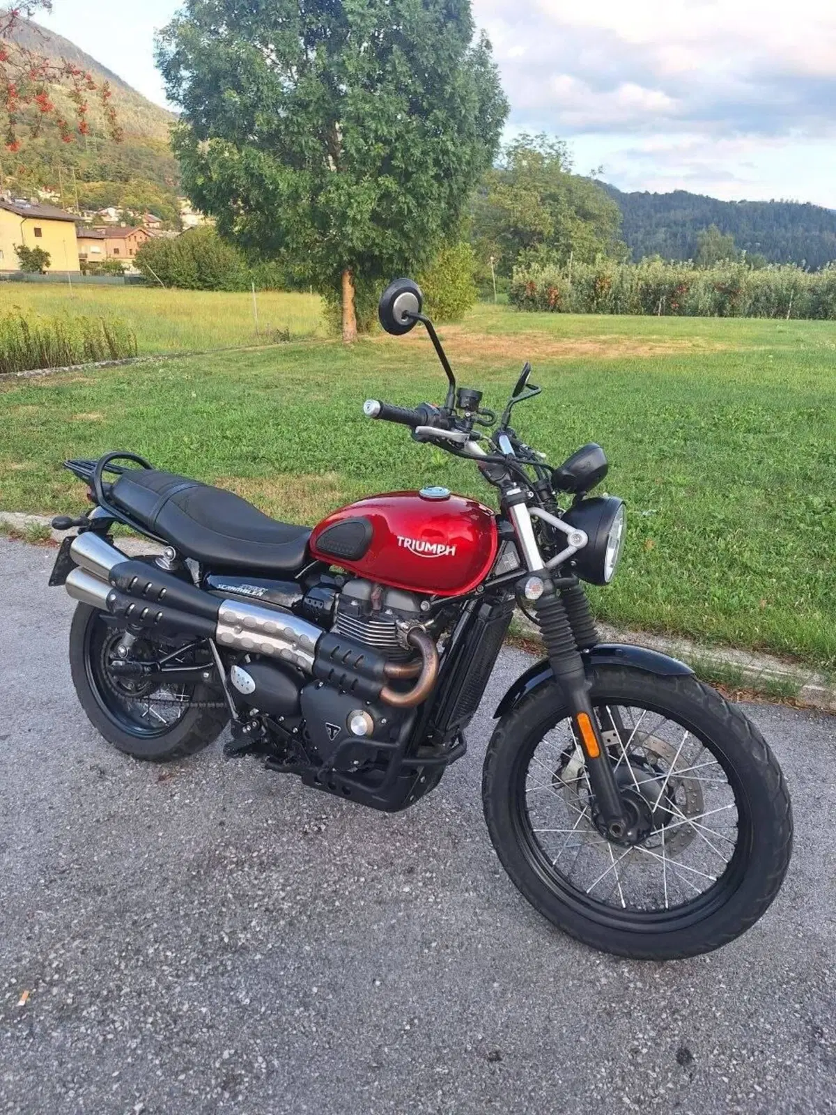 Triumph Street Scrambler 900 (2019 - 20) (5)