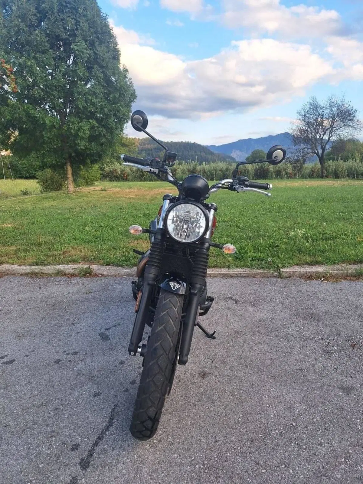 Triumph Street Scrambler 900 (2019 - 20) (3)
