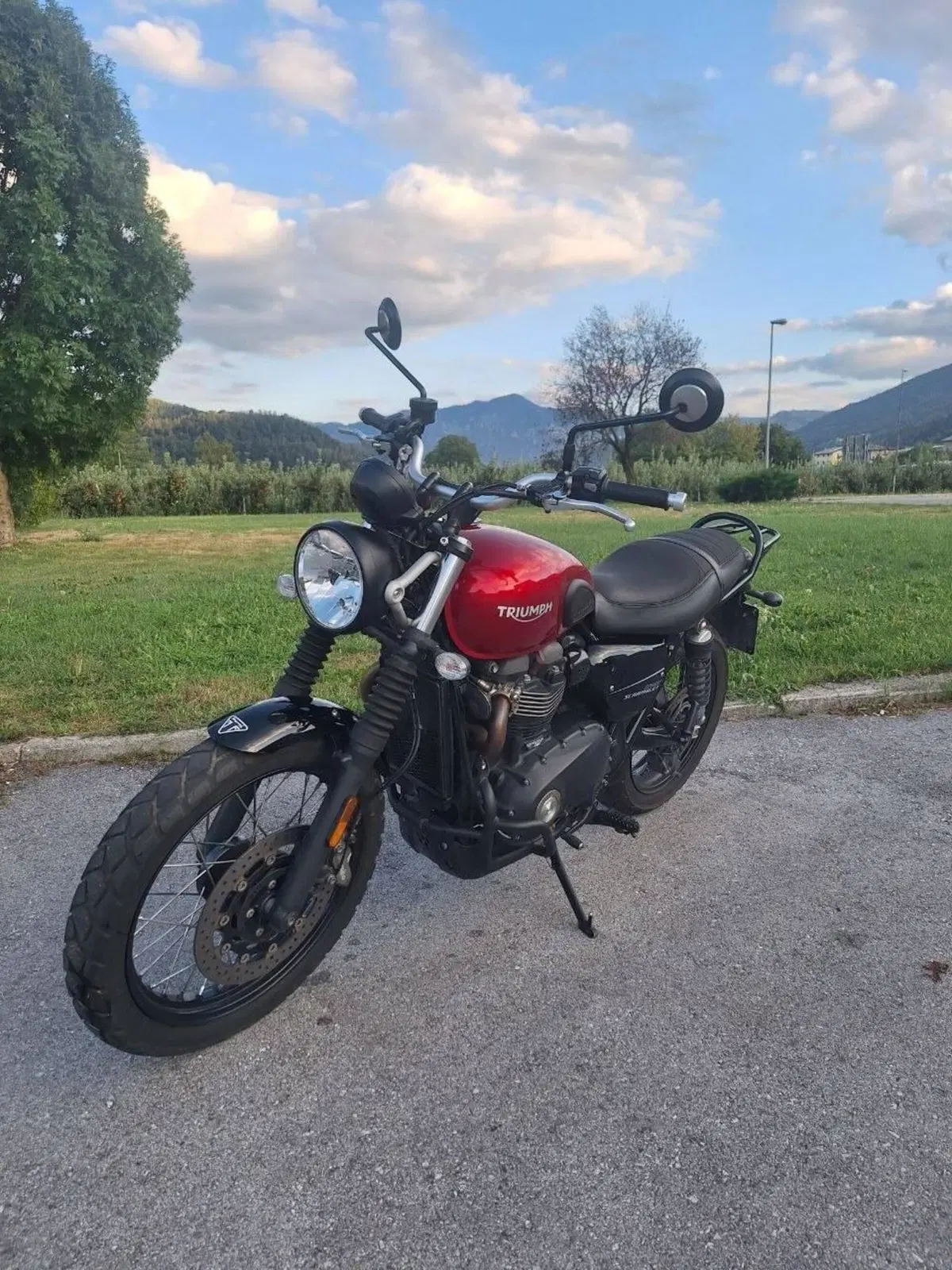 Triumph Street Scrambler 900 (2019 - 20) (6)