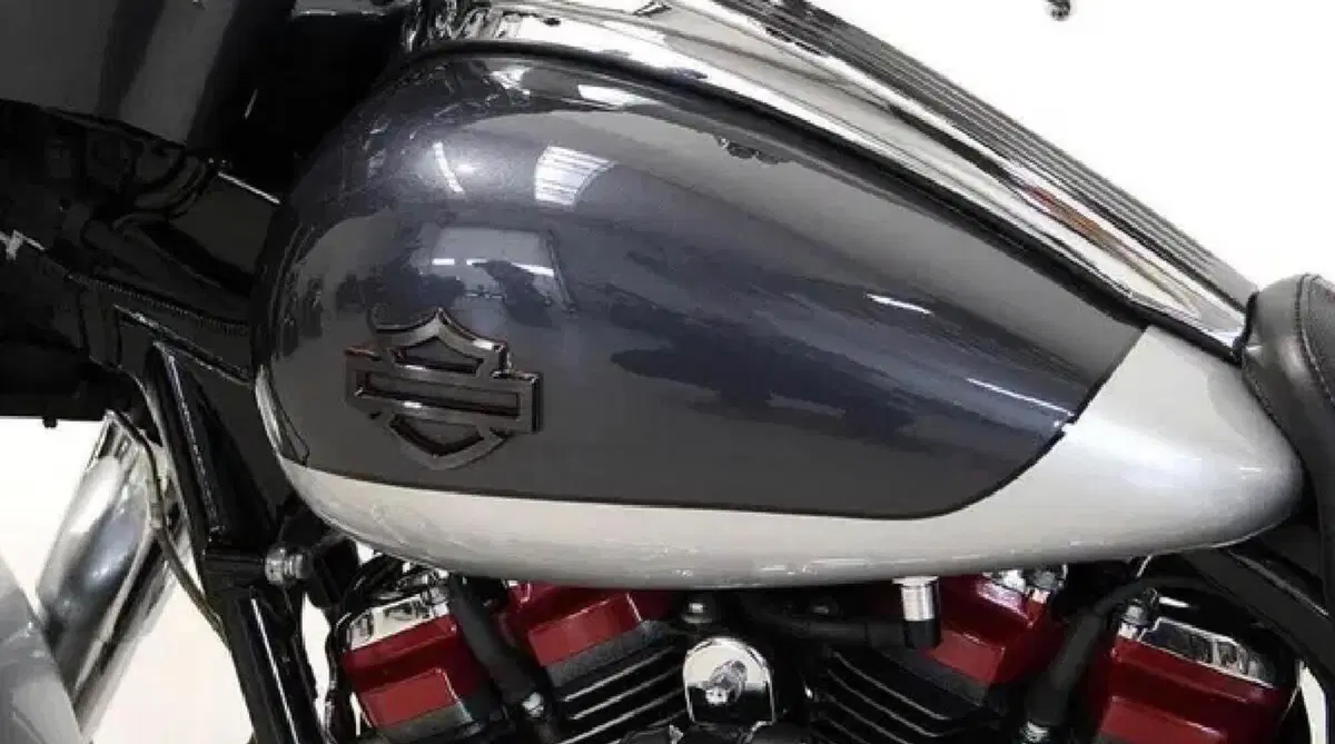 Harley-Davidson 117 Street Glide (2018 - 20) - FLHXSE (2)