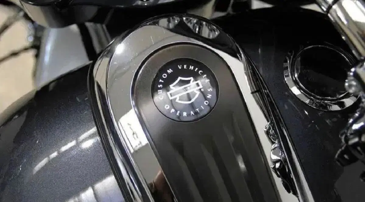 Harley-Davidson 117 Street Glide (2018 - 20) - FLHXSE (4)