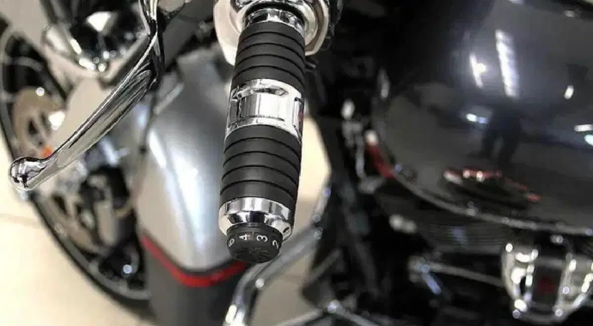 Harley-Davidson 117 Street Glide (2018 - 20) - FLHXSE (5)