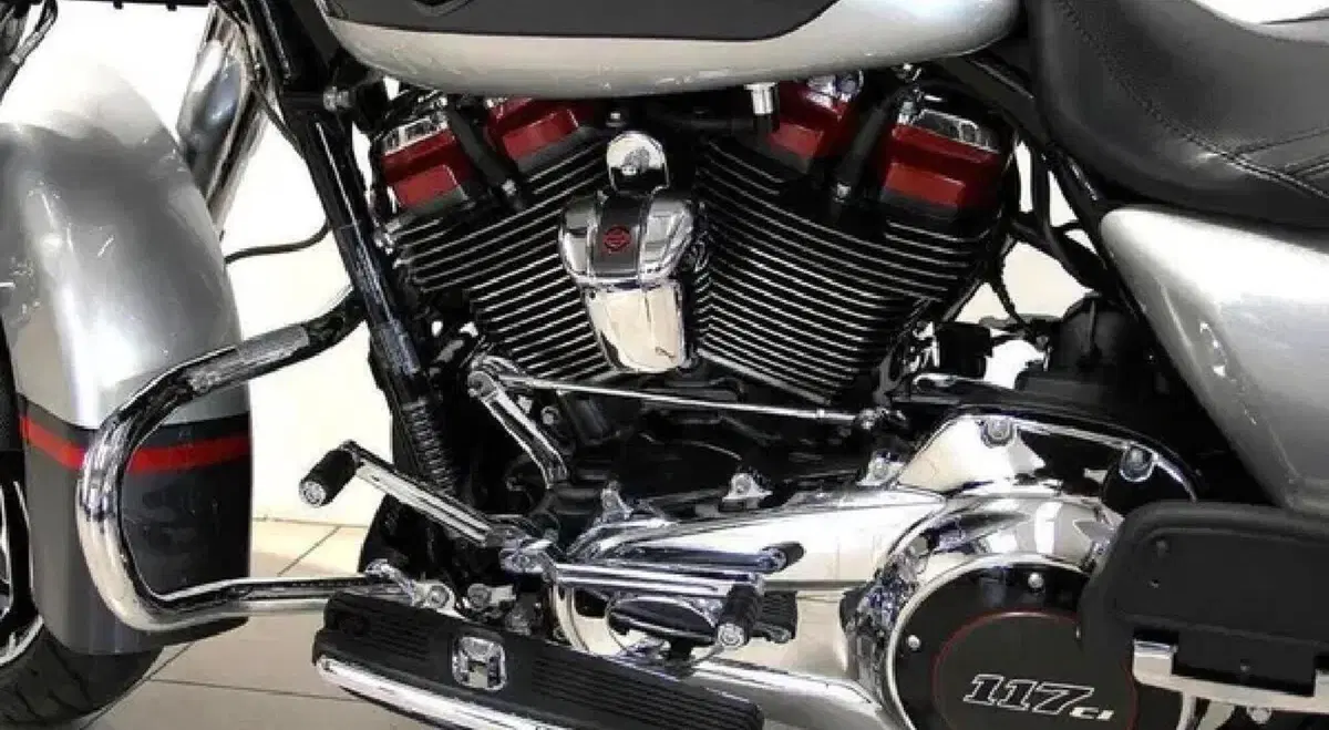 Harley-Davidson 117 Street Glide (2018 - 20) - FLHXSE (6)