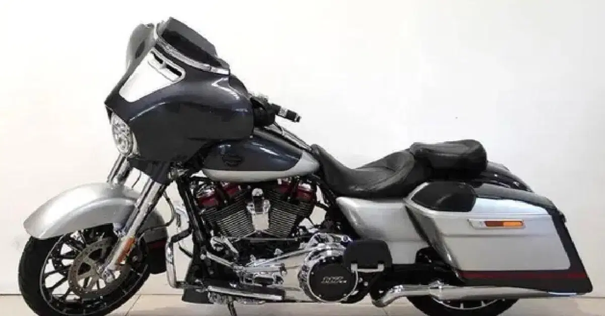 Harley-Davidson 117 Street Glide (2018 - 20) - FLHXSE (8)