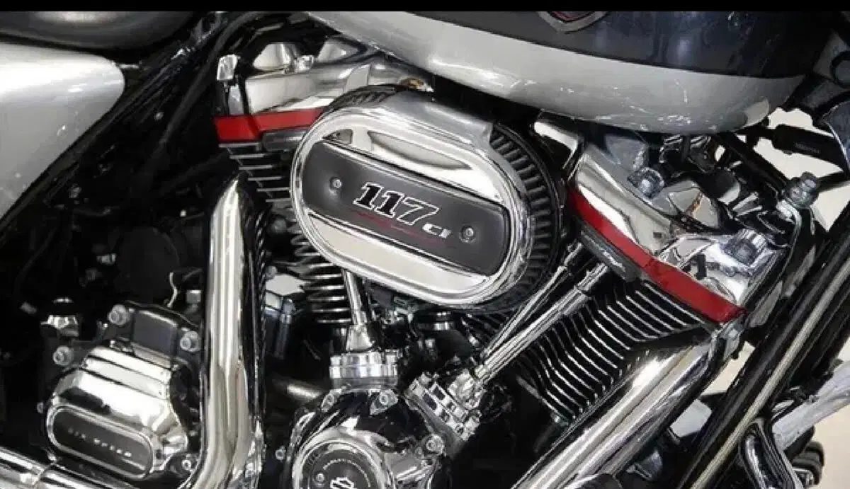 Harley-Davidson 117 Street Glide (2018 - 20) - FLHXSE (13)