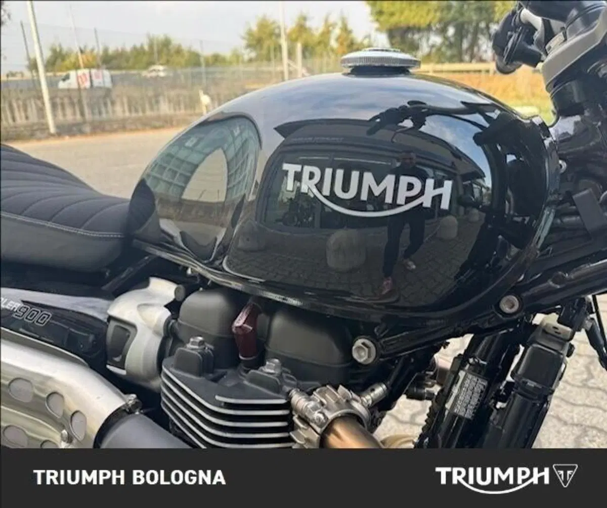 Triumph Scrambler 900 (2023 - 25) (3)