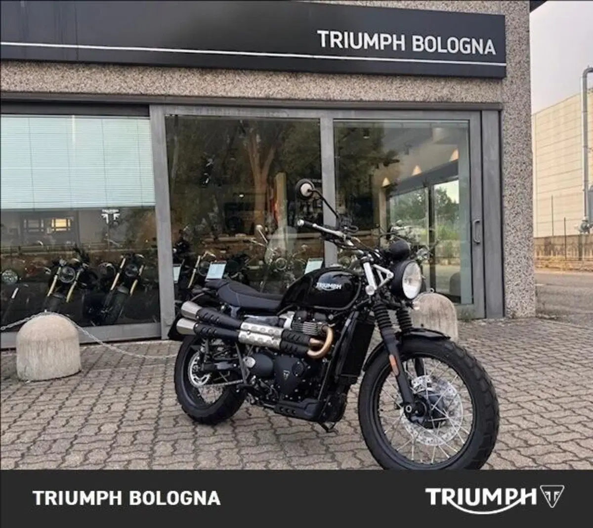 Triumph Scrambler 900 (2023 - 25) (10)