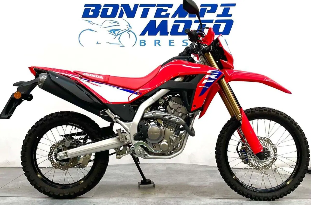 Honda CRF 300 Rally (2025 - 26)