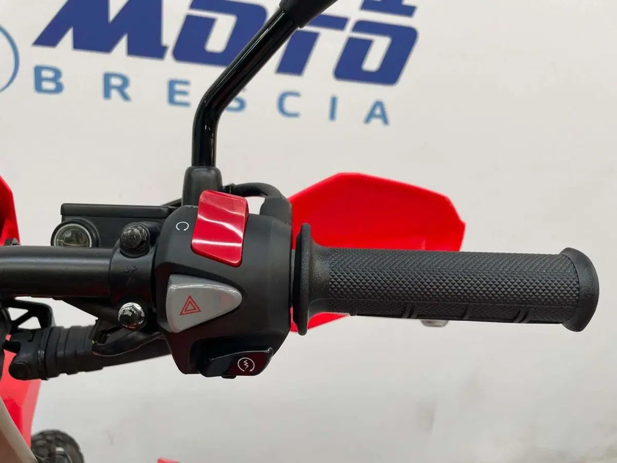Honda CRF 300 Rally (2025 - 26) (8)