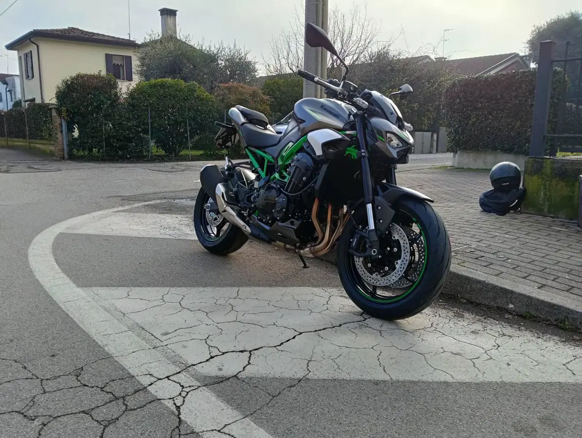 Kawasaki Z 900 (2025 - 26) (2)