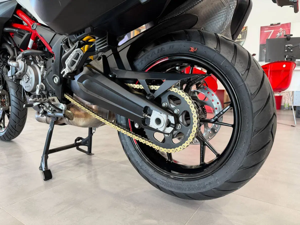 Ducati Multistrada 950 S (2019 - 20) (13)