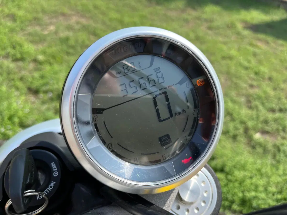 Ducati Scrambler 800 Classic (2015 - 16) (14)