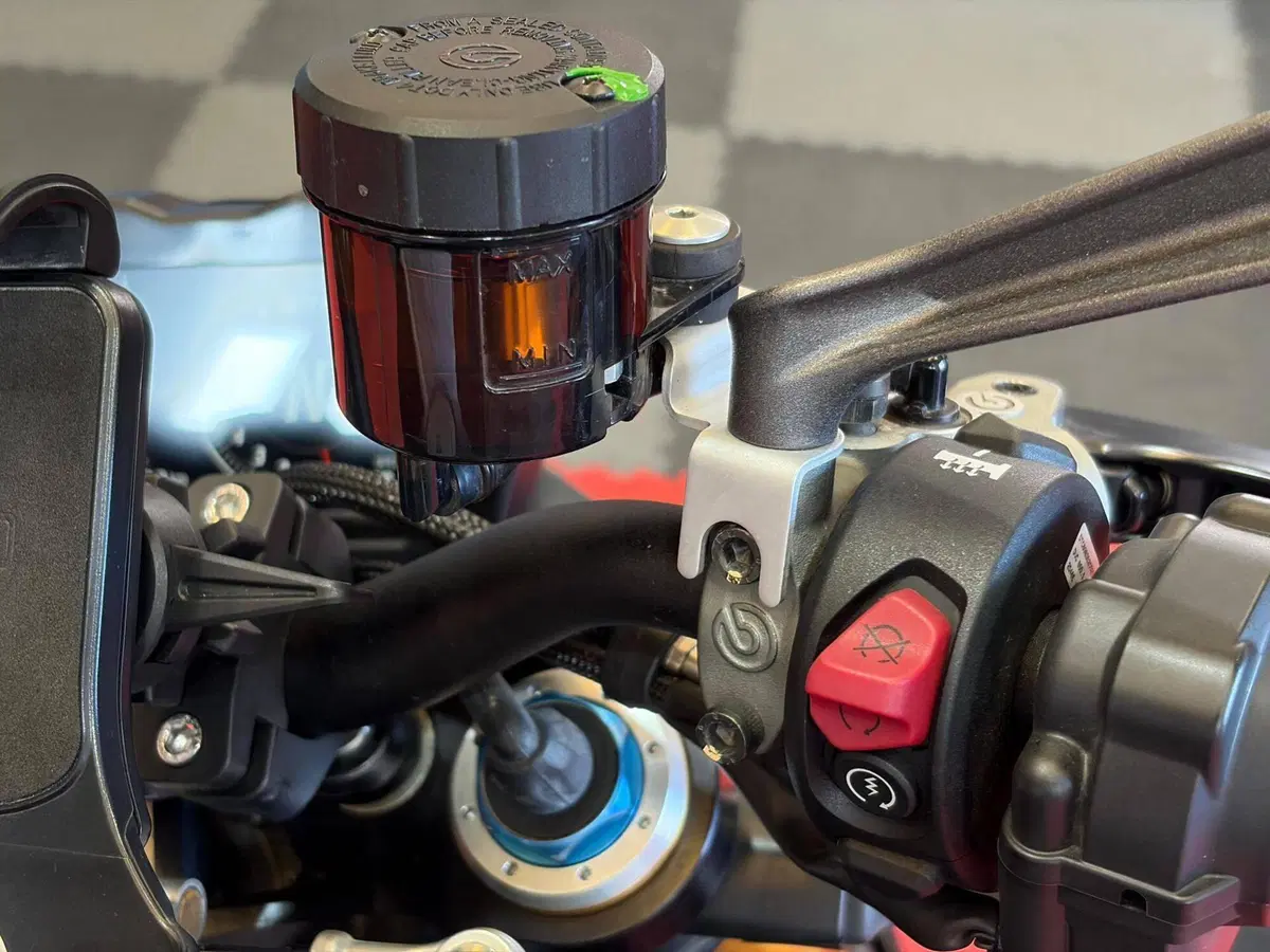 Ducati Streetfighter V4 1100 S (2021 - 22) (8)