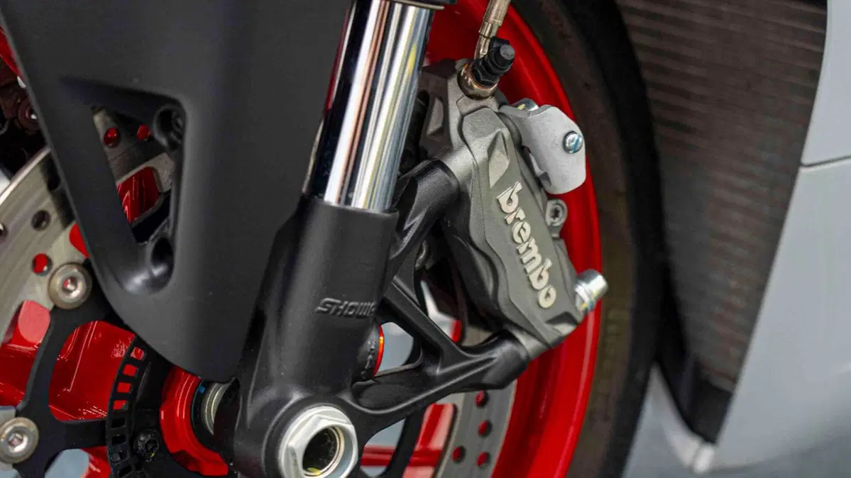 Ducati Panigale V2 (2021 - 24) (16)