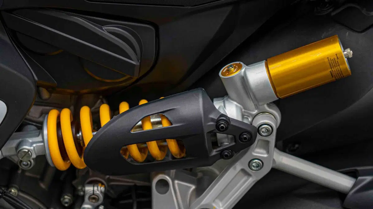 Ducati Panigale V2 (2021 - 24) (17)