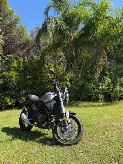 Voge Trofeo 300ACX Scrambler (2021 - 26) usata