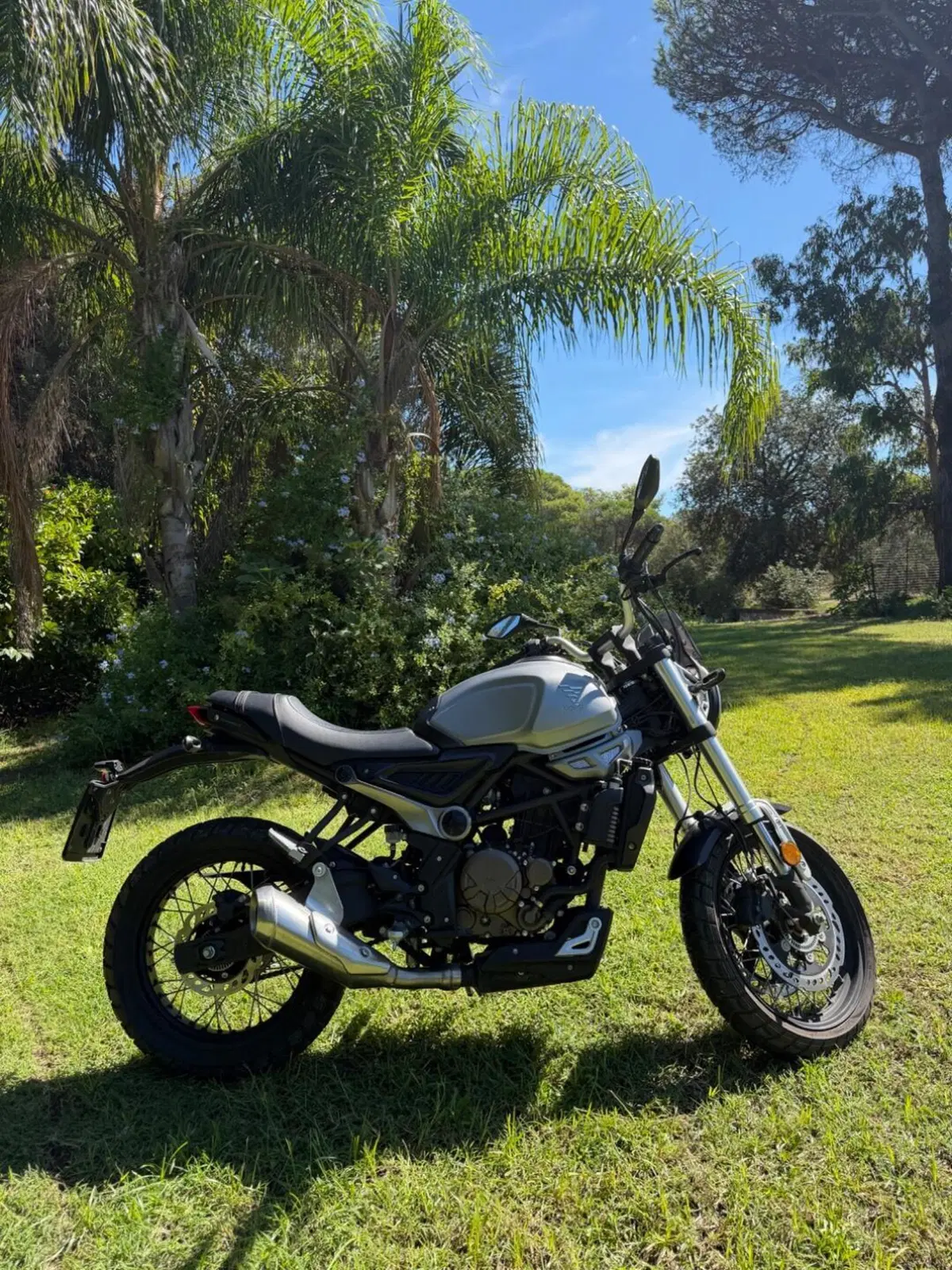 Voge Trofeo 300ACX Scrambler (2021 - 26) (2)