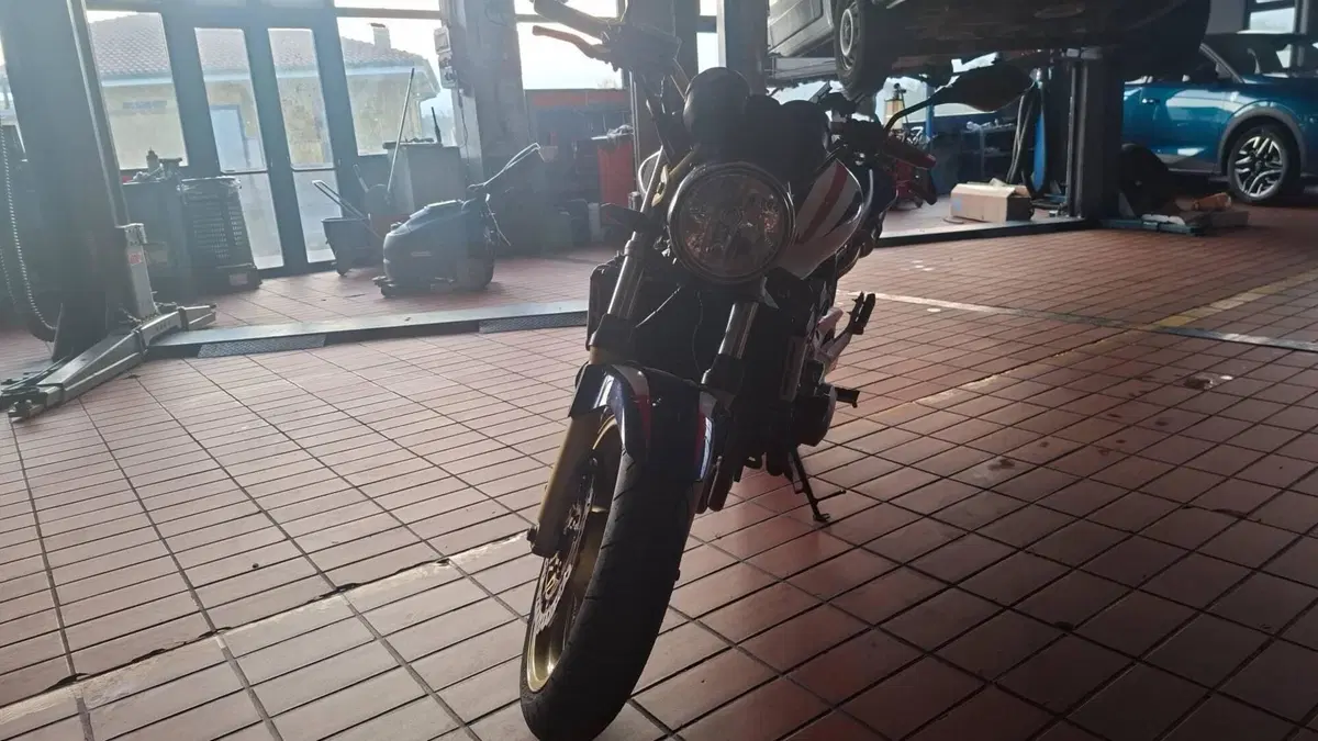 Honda Hornet 900 (6)