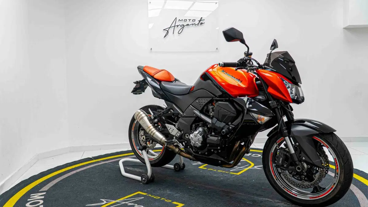 Kawasaki Z 1000 (2007 - 09) (6)