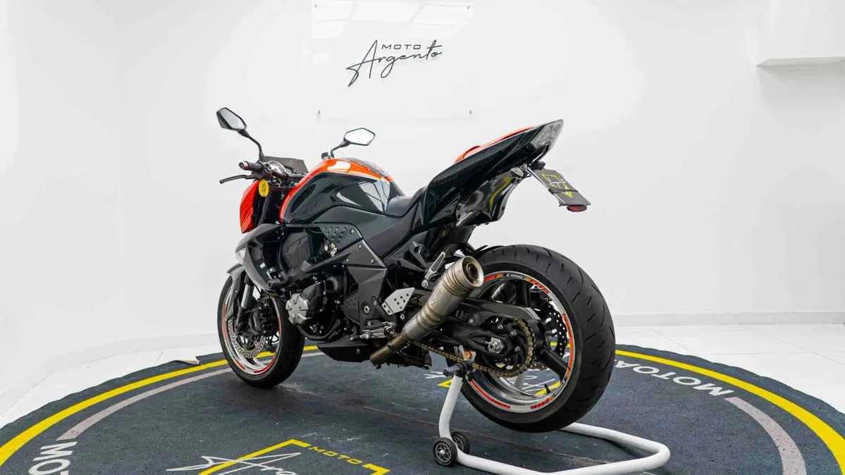 Kawasaki Z 1000 (2007 - 09) (10)