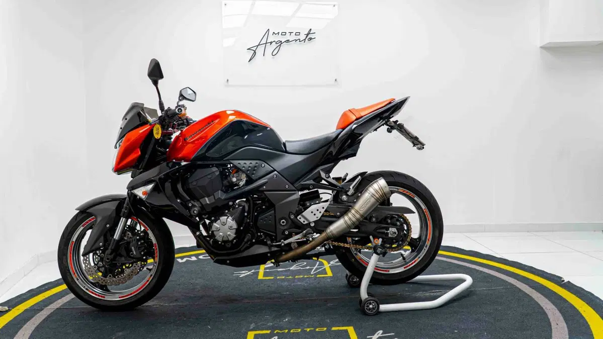 Kawasaki Z 1000 (2007 - 09) (11)