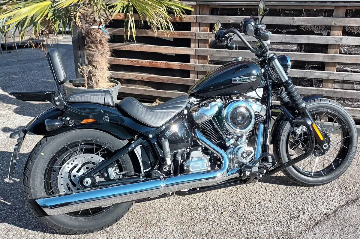 Harley-Davidson Street Bob 117 (2025 - 26)