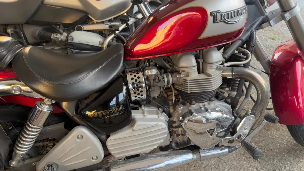 Triumph Bonneville 800 America (2001 - 07) (4)