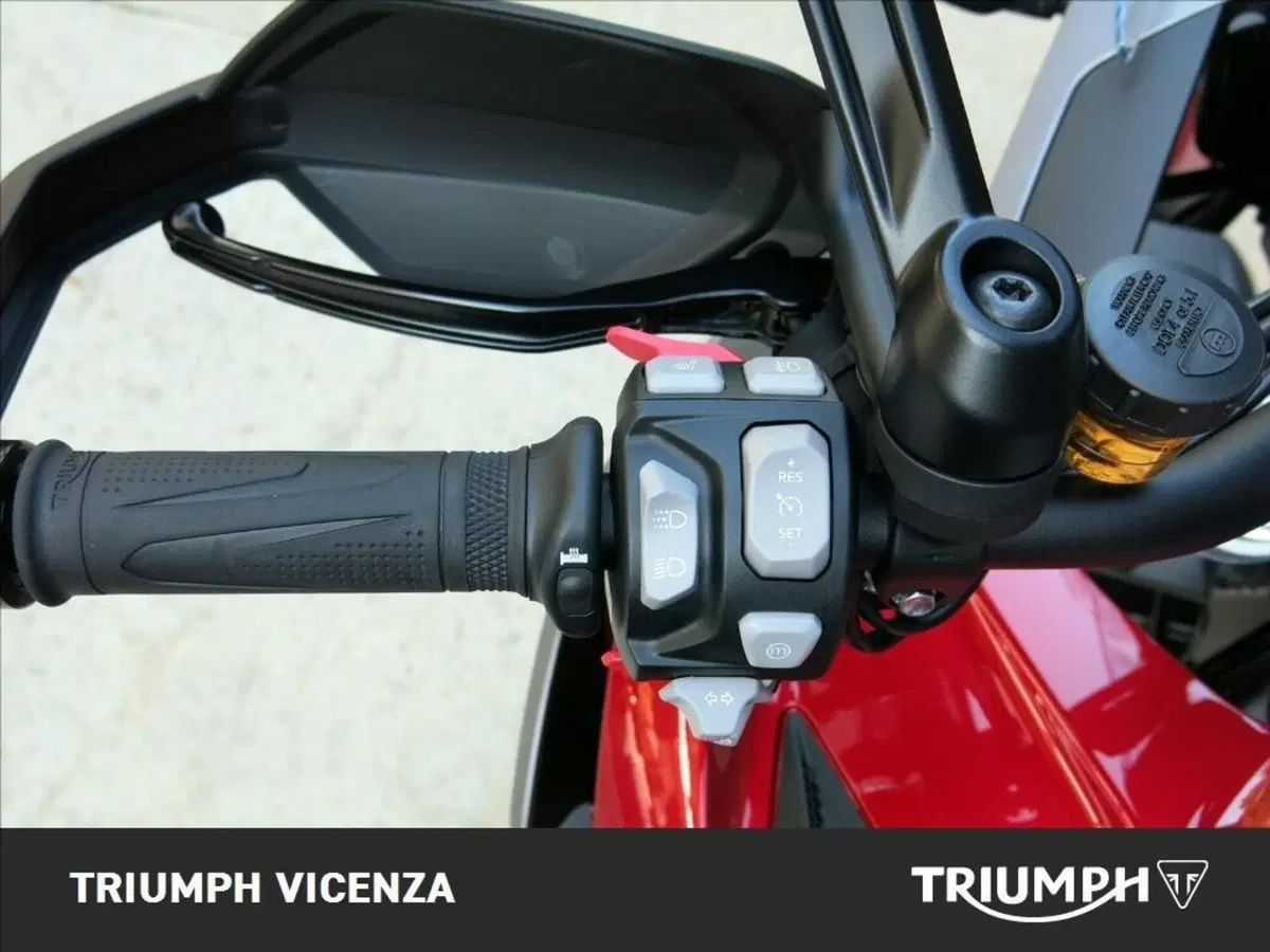 Triumph Tiger 1200 GT Explorer (2024 - 26) (9)