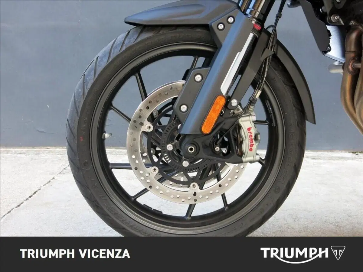 Triumph Tiger 1200 GT Explorer (2024 - 26) (7)