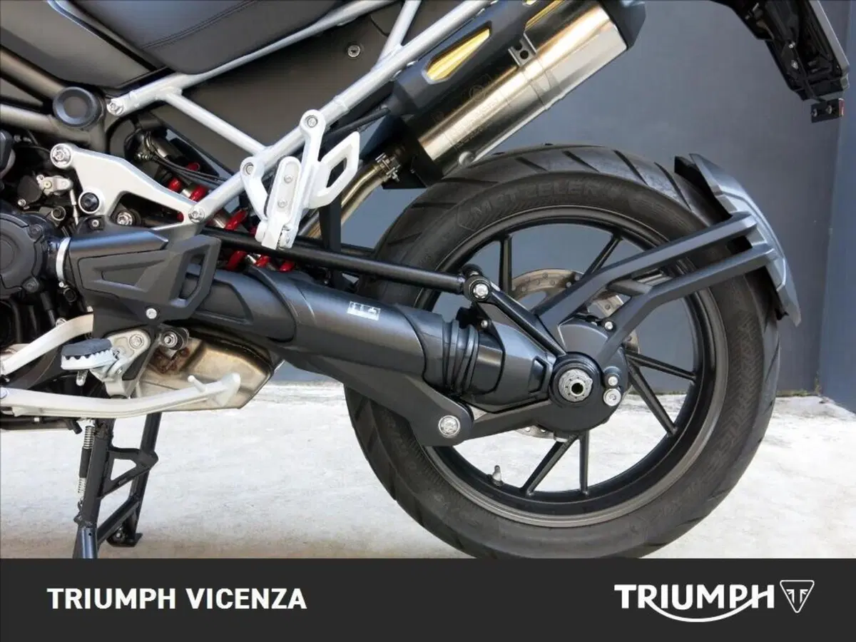 Triumph Tiger 1200 GT Explorer (2024 - 26) (8)