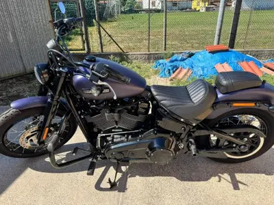 Harley-Davidson Street Bob 117 (2025 - 26) usata