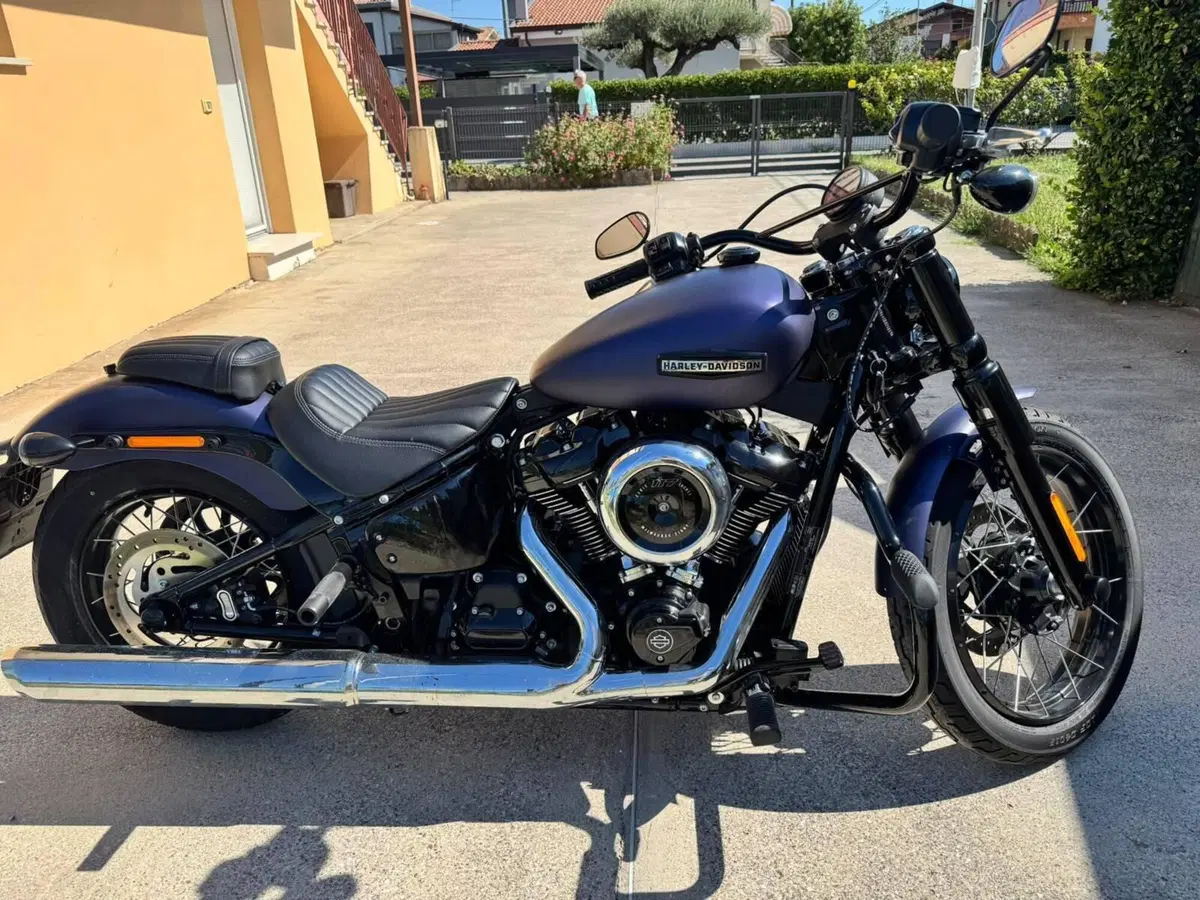 Harley-Davidson Street Bob 117 (2025 - 26) (3)