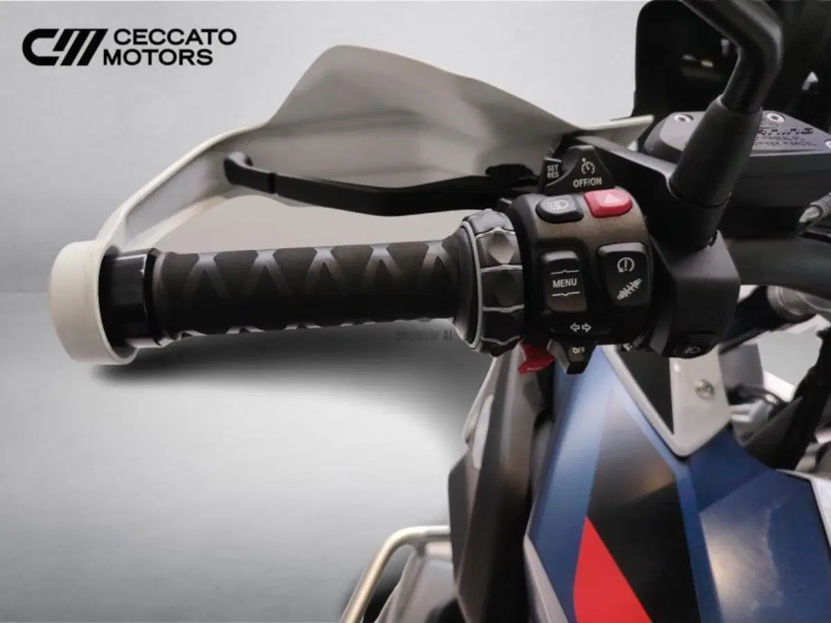 Bmw R 1250 GS (2021 - 24) (11)